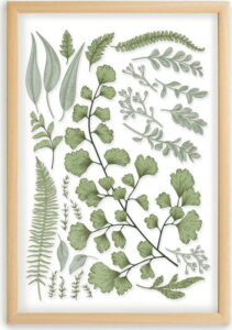 Obraz s rámem z borovicového dřeva Surdic Leafes Collection