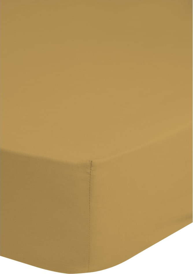 Tmavě žluté elastické prostěradlo z bavlněného saténu HIP