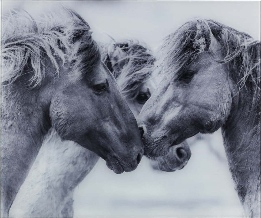 Šedý skleněný kryt na zeď u sporáku Wenko Horses