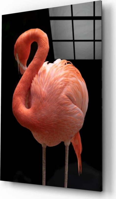 Skleněný obraz Insigne Flamingo Insigne