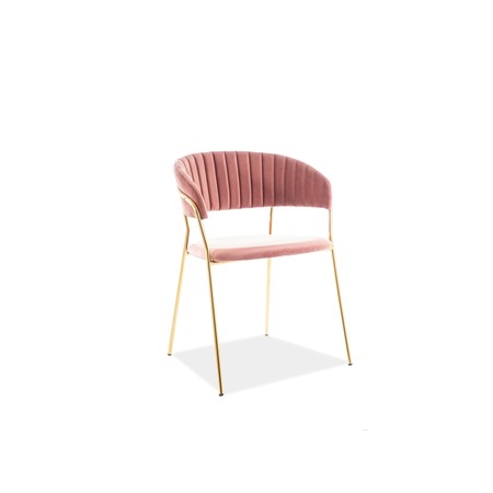 Židle LIRA - zlatá/růžová SIGNAL