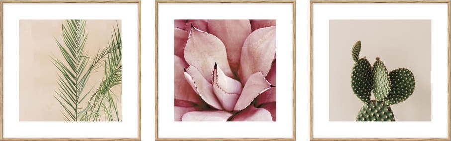 Plakát 22.5x22.5 cm Flowers - knor knor