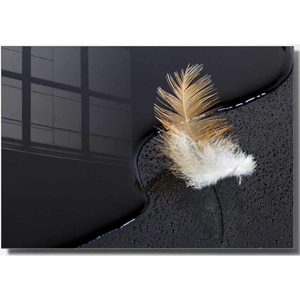 Skleněný obraz 100x70 cm Feather – Wallity Wallity