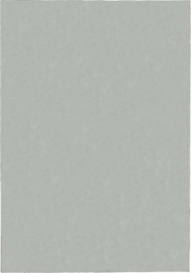 Světle šedý koberec 140x200 cm – Flair Rugs Flair Rugs
