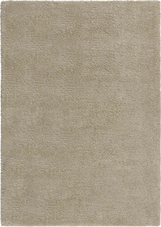 Béžový koberec 80x150 cm – Flair Rugs Flair Rugs