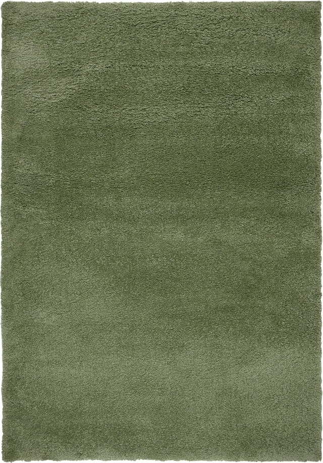 Zelený koberec 160x230 cm – Flair Rugs Flair Rugs