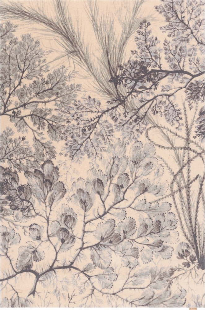 Vlněný koberec v mentolové a béžové barvě 200x300 cm V&A Calisia Kelp – Agnella Agnella