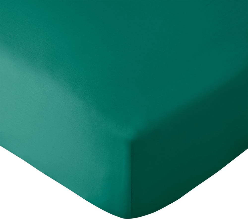 Zelenomodré napínací prostěradlo 90x190 cm So Soft Non-Iron – Catherine Lansfield Catherine Lansfield