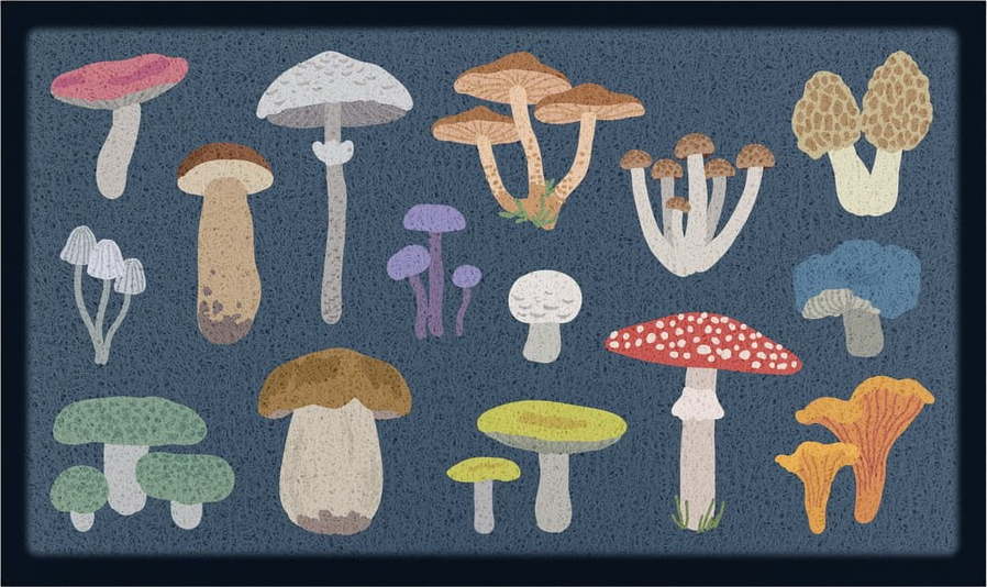 Rohožka 60x90 cm Mixed Wild Mushroom – Artsy Doormats Artsy Doormats