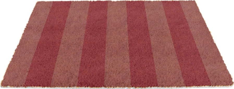 Rohožka z kokosového vlákna 40x60 cm Pink Stripe – Artsy Doormats Artsy Doormats