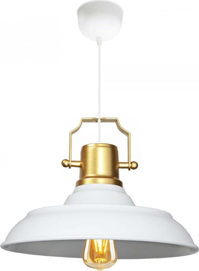 Závěsné svítidlo s kovovým stínidlem ø 25 cm Tarsus – Opviq lights Opviq lights