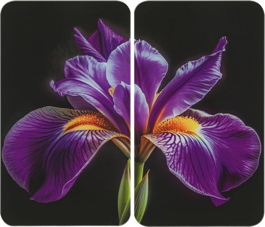 Kryty na sporák v sadě 2 ks z tvrzeného skla 52x30 cm Iris – Wenko WENKO