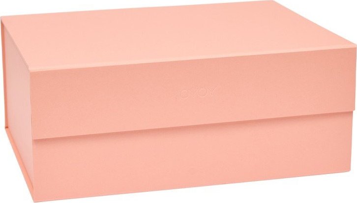 Světle růžový kartonový úložný box s víkem 33x25x15 cm Hako – OYOY Living Design Oyoy Living Design